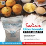 Sodium Bicarbonate